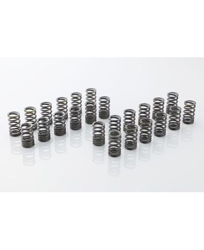 RESSORT DE SOUPAPE NISSAN VR38 - MCR