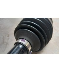 OCC-2995-X3