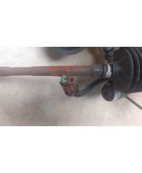 OCC-3006-BAS P