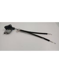 OCC-2981-Q3