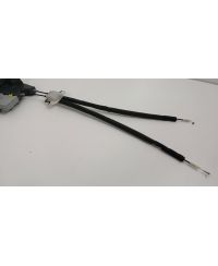 OCC-2981-Q3