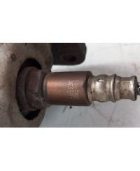 OCC-3029-T1