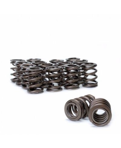 RESSORT SOUPAPE RB25DET NEO FERREA VALVES