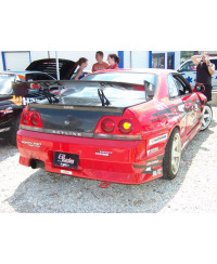 SET AILES ARRIERE FIBRE +25MM R33 GTST 