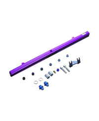 RAMPE INJECTION R32 R33 R34 GTR HKS 