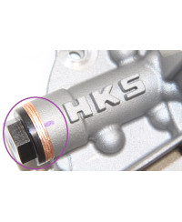 POMPE A HUILE RB26DETT HKS