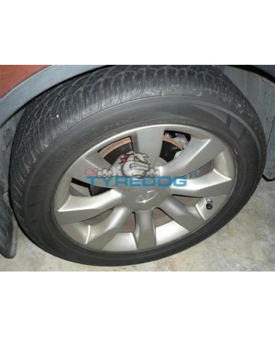 PANNEAU CONTROLE PNEUMATIQUES TIREDOG