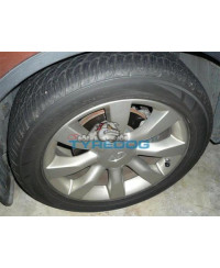 PANNEAU CONTROLE PNEUMATIQUES TIREDOG