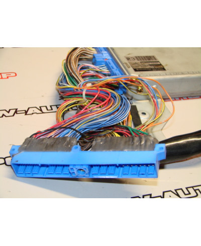 GESTION FCON S R33 GTR HKS