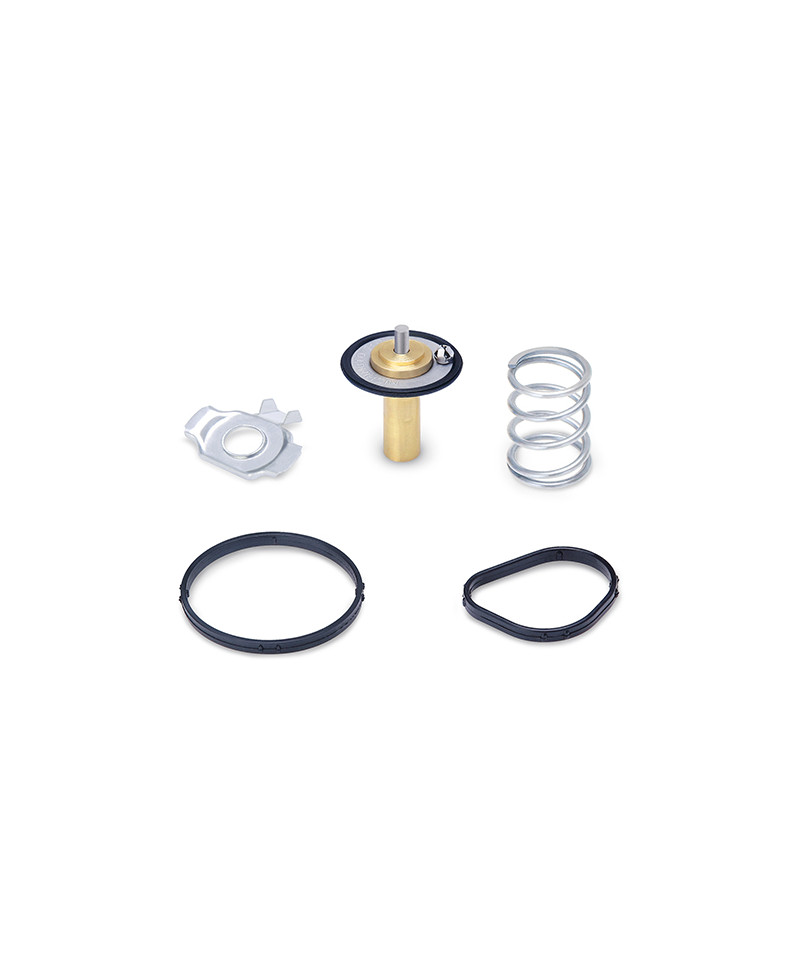 CALORSTAT RACING FIESTA MISHIMOTO