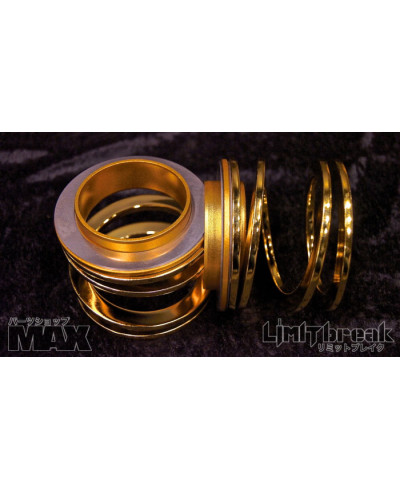 HELPER SPRING COILOVERS MAX