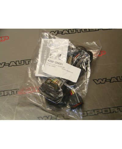 FAISCEAU BOITIER TWIN POWER DLI R33 GTR HKS