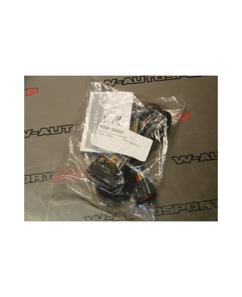 FAISCEAU BOITIER TWIN POWER DLI R33 GTR HKS