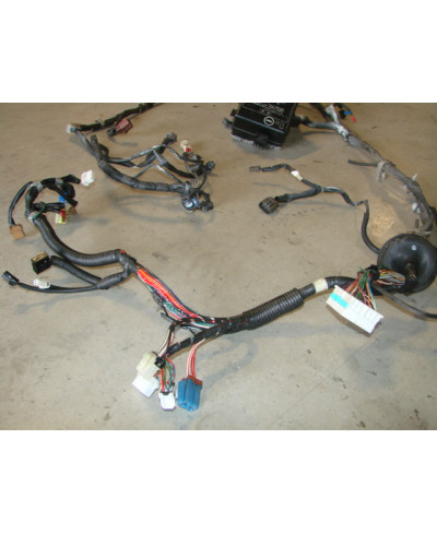 FAISCEAU MOTEUR R33 NISSAN