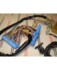 GESTION FCON VPRO R32 GTR HKS