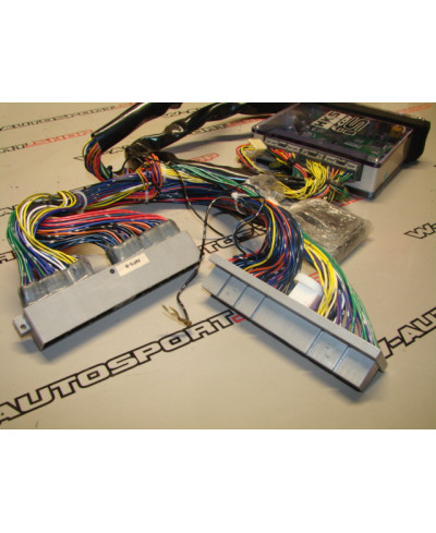 GESTION FCON R34 GTT HKS