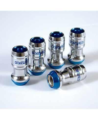 SET ECROUS ROUE FORMULA RAYS