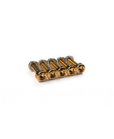 VISSERIE 8MM TORX VOILE REMPLACEMENT WORK WHEELS