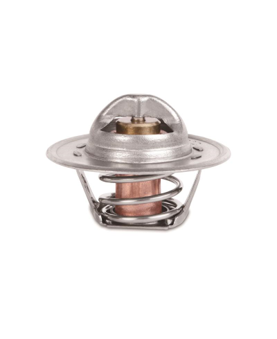 CALORSTAT RACING AMC V8 MISHIMOTO