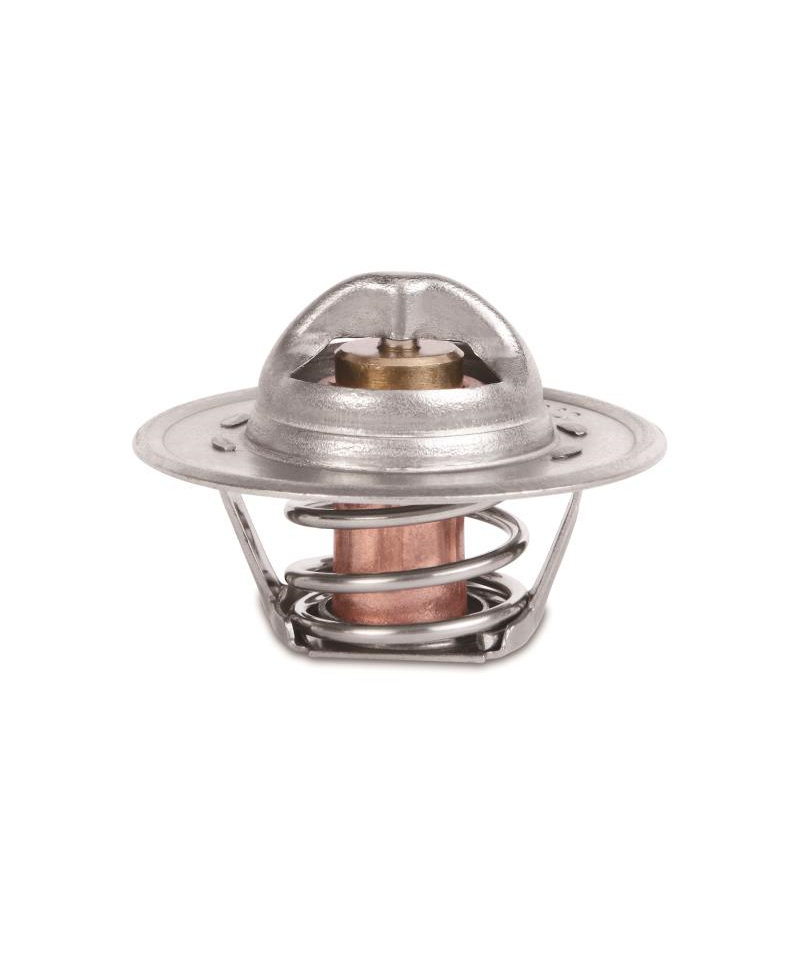 CALORSTAT RACING AMC V8 MISHIMOTO