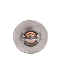 CALORSTAT RACING AMC V8 MISHIMOTO