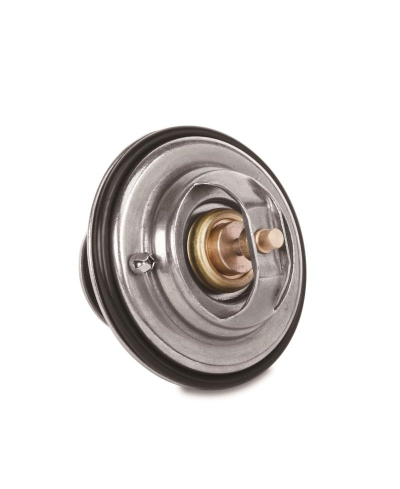 CALORSTAT RACING AUDI A4 TT MISHIMOTO