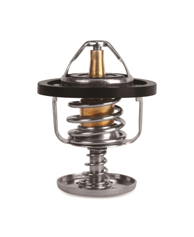 CALORSTAT RACING CHEVROLET CAMARO 98-02 MISHIMOTO