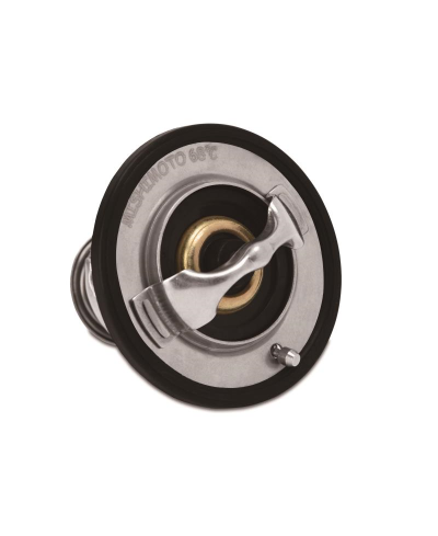 CALORSTAT RACING MITSUBISHI ECLIPSE MISHIMOTO