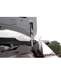 VERINS CAPOT MOTEUR LEXUS CT 200H CIRCUIT SPORT