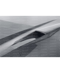 CAPOT CARBONE DS STYLE GTR R35 SEIBON