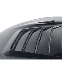 CAPOT CARBONE DS STYLE GTR R35 SEIBON