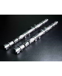 SET ARBRE A CAME CA18DET JUN