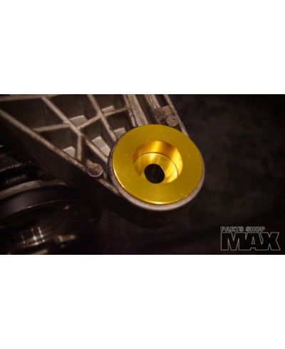 SET SILENTBLOC RIGIDE FIXATION PONT ARRIERE M3 E46 MAX