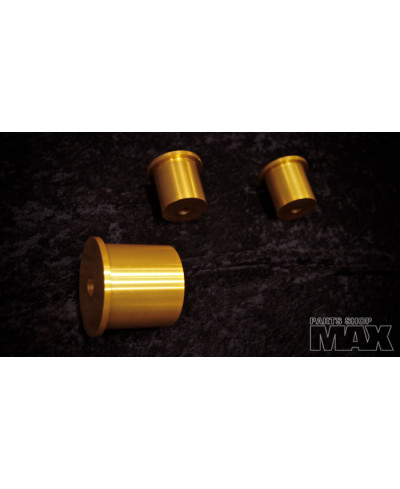 SET SILENTBLOC RIGIDE FIXATION PONT ARRIERE E46 MAX