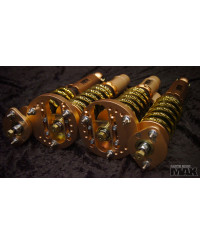 KIT COMBINES FILETES PRO BMW E46 MAX