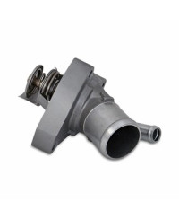 CALORSTAT RACING GTR R35 MISHIMOTO