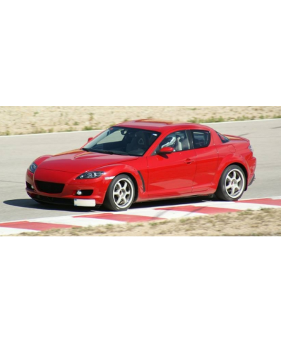 SUPPORT DE PLAQUE RX8