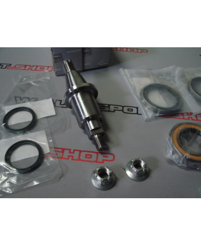 KIT REVISION PIVOTS AVANT R33 GTR NISSAN 