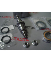 KIT REVISION PIVOTS AVANT R33 GTR NISSAN 