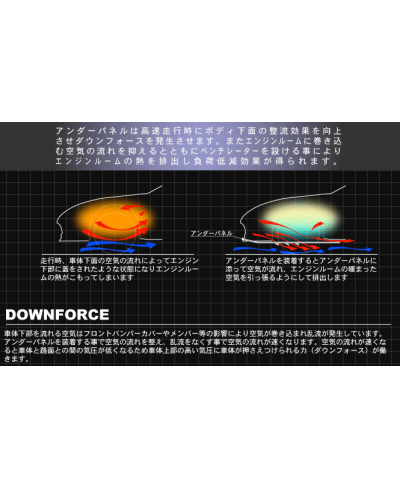 CARTER INFERIEUR RX8 LAILE 