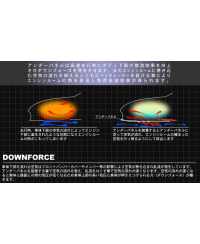 CARTER INFERIEUR RX8 LAILE 