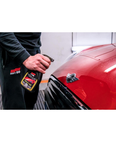 QUICK DETAILER LUXURY GLOSS SOFT99