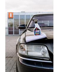 QUICK DETAILER FUSSO COAT SPEED & BARRIER SOFT99