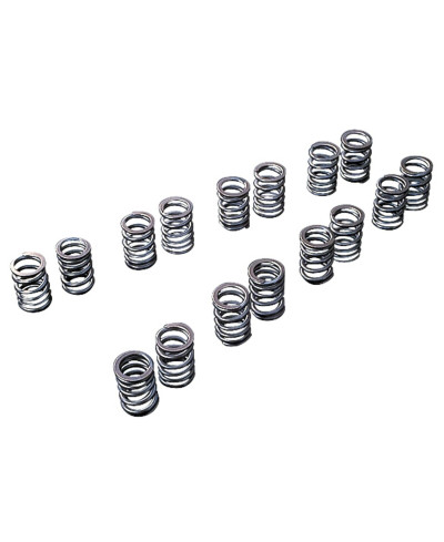 RESSORTS DE SOUPAPE RENFORCÉS CA18DET TOMEI