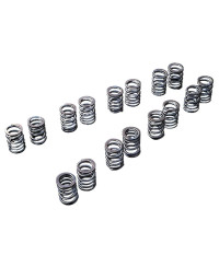 RESSORTS DE SOUPAPE RENFORCÉS CA18DET TOMEI