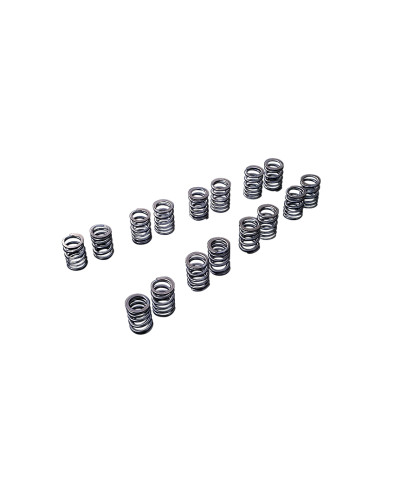 SET 16 RESSORTS DE SOUPAPES RACING MITSUBISHI 4B11 LANCER TOMEI
