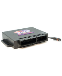 PLUGIN ECU MINI COOPER R50-R53 MINIX LINK