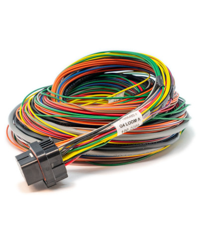 FAISCEAU CALCULATEUR ECU TYPE A 2.5 M LINK