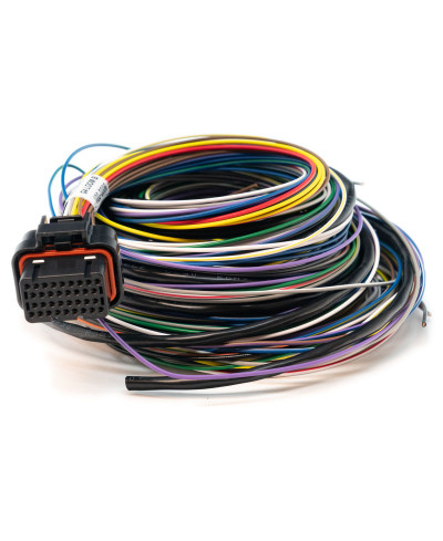FAISCEAU CALCULATEUR ECU TYPE B 2.5 M LINK