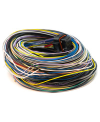 FAISCEAU CALCULATEUR ECU TYPE B 5 M LINK